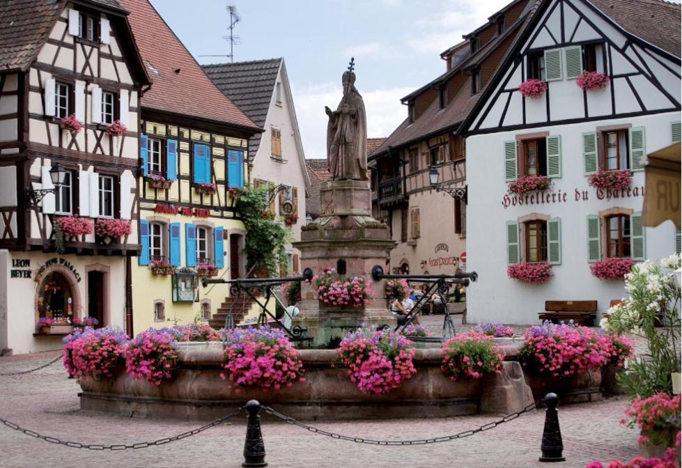 Apartmán Relais Des Vosges Husseren-Wesserling Exteriér fotografie