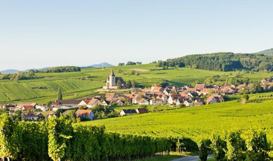 Apartmán Relais Des Vosges Husseren-Wesserling Exteriér fotografie